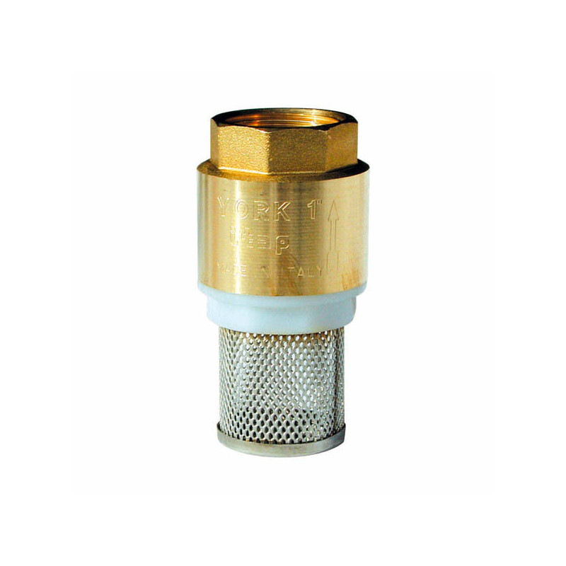 Crépine 1 1/4 pouce en laiton avec filtre metal pour tuyau pompe electrique