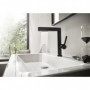 Mitigeur lavabo Finoris avec douchette extractible 2 jets Hansgrohe