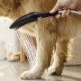 Douchette pour chien Dogshower Hansgrohe