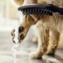 Douchette pour chien Dogshower Hansgrohe