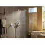 Douchette 3 jets Raindance Select S 120 EcoSmart Hansgrohe