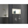 Niche Saniwell Top LED Stone gris Wedi