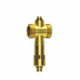 Soupape antigel Watts